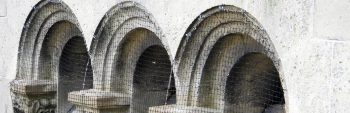 Filet contre les pigeons